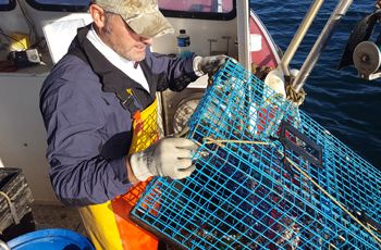 Lobstering with Tucker Jordan and the Maine Lobster Boys