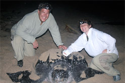 Tagging Turtles in Trinidad