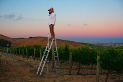 Photographing Vineyards